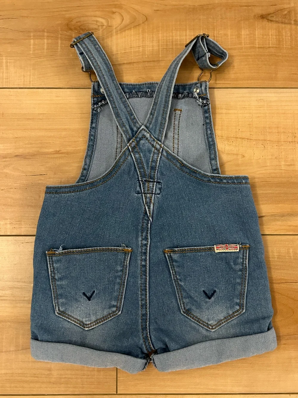 HUDSON Baby Denim Floral Embroidered Overalls